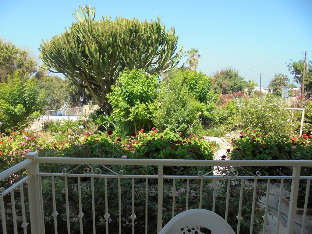 Niki Court Holiday Apartments Paphos Exteriér fotografie
